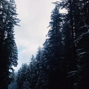 Meet your Posher, Miranda